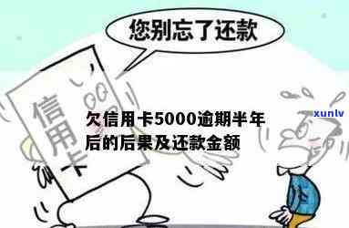 逾期一年后信用卡5000额度的还款总额及可能的影响全面解析