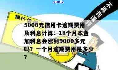 信用卡5000逾期一天利息计算：5000元逾期费用怎么算？