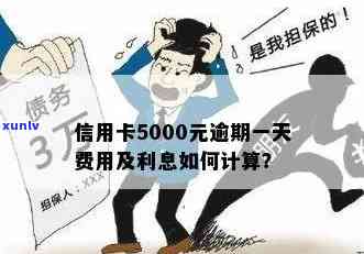 信用卡5000逾期一天利息计算：5000元逾期费用怎么算？