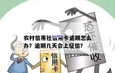 农村信用社信用卡逾期几天会上吗？如何解决逾期问题？