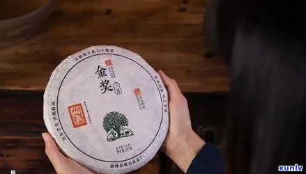 一品金芽普洱茶品质及价格详解：表与价，多少钱一饼？