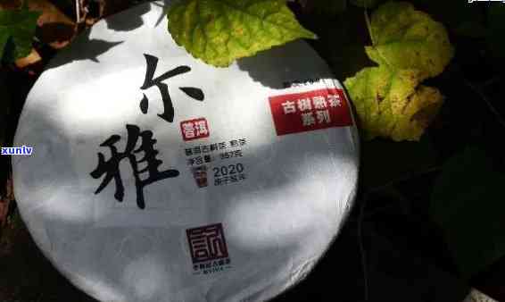 雅域普洱茶：品质越，年份精选，健之选