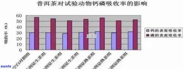 华法林与普洱茶的相互作用：女性患者应如何饮用？