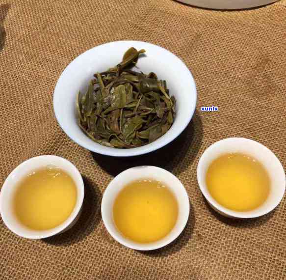 普洱茶是什么香气：探究普洱茶的香味及其形成过程