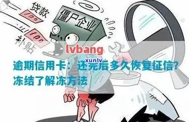 从零开始教你如何编制翡翠项链：详细教程与技巧，让你轻松掌握！