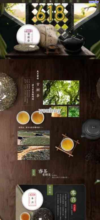 普洱茶官方旗舰店：探索高品质普洱茶的完整选择与购买指南