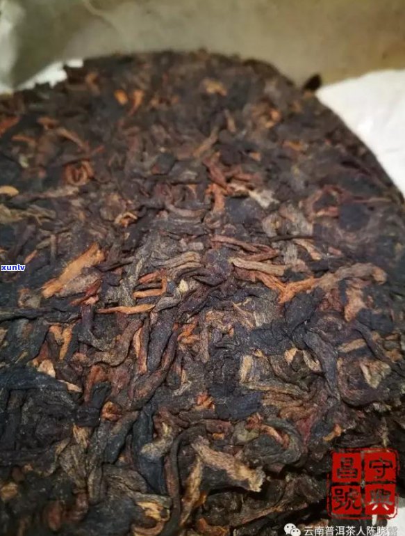 普洱茶包装纸上的虫咬痕迹是否影响茶叶品质及饮用安全？