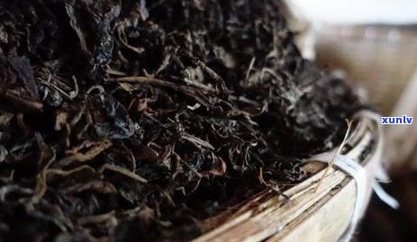 古树普洱茶：熟茶与生茶的深度解析，你真的了解吗？