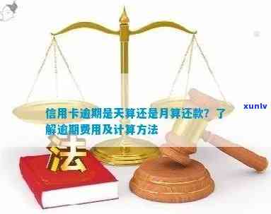 信用卡逾期费率：按天计算还是月度？了解正确算法避免额外费用