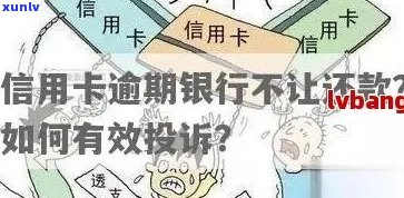 翡翠项链镶嵌价格