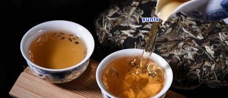 普洱茶用多少度水沏