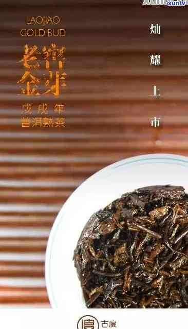 古树金芽：普洱茶的璀璨明珠？为什么它备受推崇？