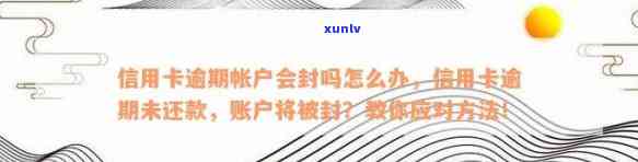 信用卡逾期未还款，账户已被停用，我该如何解决？