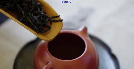 朱泥泡普洱茶好吗怎么泡？能喝吗？有吗？熟普洱茶也可以用朱泥泡吗？