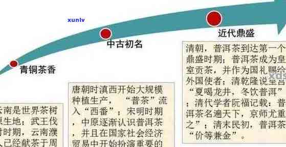 探索普洱茶的五大层次：品鉴、鉴、收藏、投资与文化体验