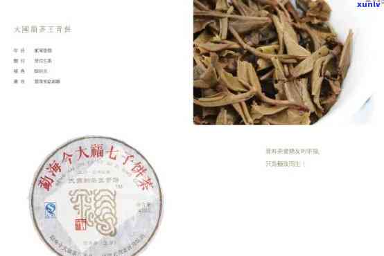 探究今大福普洱茶的收藏价值：从品质、市场和投资角度分析