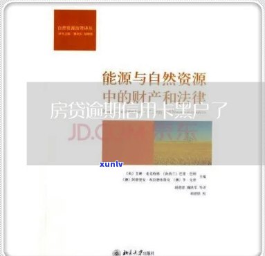 连续逾期七次信用记录重创：后果、贷款买房可能性、黑户认定及解决办法