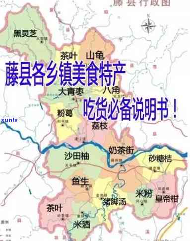 藤县场在哪里进货？