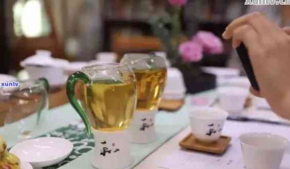 茗月楼普洱茶社：品鉴优质普洱茶、了解茶文化与泡茶技巧的全方位体验