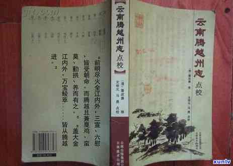 腾越翡翠市场全方位指南：从选购到保养，一站式解决您的所有疑问！