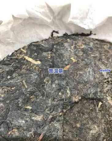 普洱茶膏表面白霜现象：正常还是品质问题？