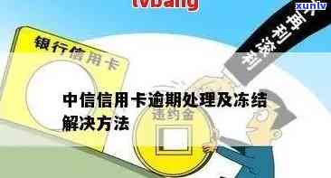 中信信用卡逾期解冻全流程详解：如何处理逾期款项并恢复信用卡使用