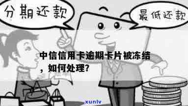 中信信用卡逾期解冻全流程详解：如何处理逾期款项并恢复信用卡使用