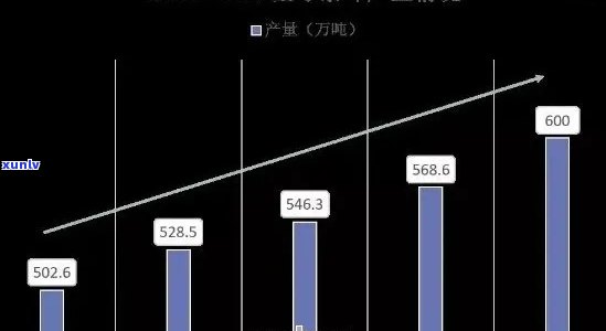 从过去8年的普洱茶价格走势分析，了解市场动态和投资机会