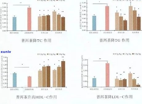 探究普洱茶三重味的药理作用及其在健管理中的应用