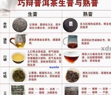 普洱茶三重味的全面解析：功效、作用与适用人群