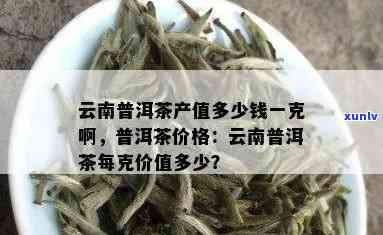 云南普洱茶市场价格波动：一斤茶叶的确切价位是多少？