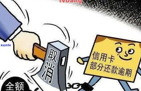 翡翠碧玉牌子价格：专家解读市场趋势与鉴别技巧