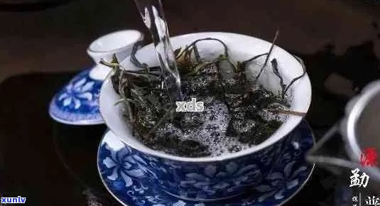 一杯普洱茶可冲几次