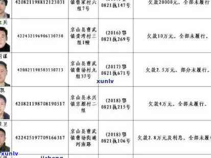 奉节县信用卡逾期人员名单：详细记录，有效管理与解决策略