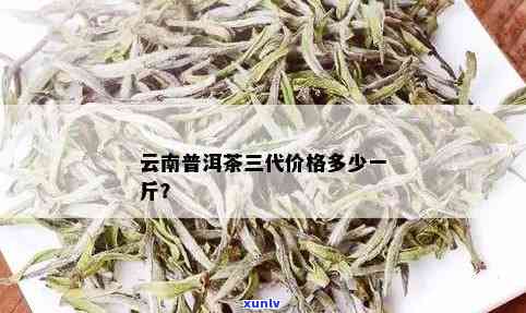 三月滇普洱茶多少钱一斤？