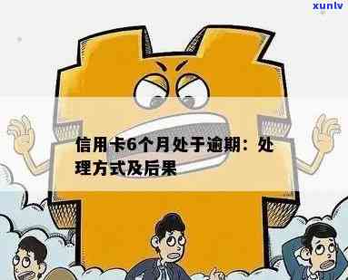 信用卡逾期6个月后：如何处理？