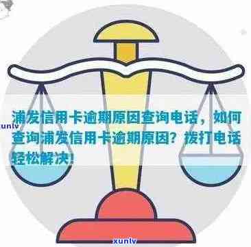 全面解析：如何查找浦发信用卡逾期名单及相关操作指南