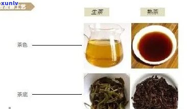 紫娟普洱茶：品种特点、 *** 工艺、品饮 *** 及健益处的全面解答