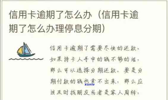 阳绿翡翠手链价格、阳绿翡翠手串价格和阳绿翡翠项链的价格是多少？