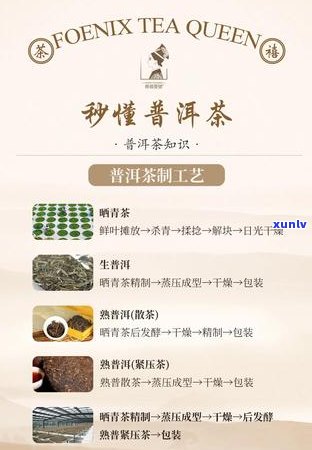 普洱茶香氤氲中，窑文化绽放新彩——探索用普洱茶养出的窑之美