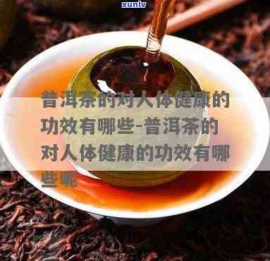 普洱茶对五脏六腑的综合调理作用及其科学原理解析