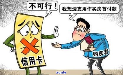 豫古树茶：357克醇厚口感，传承千年古树文化与健生活理念的完美结合