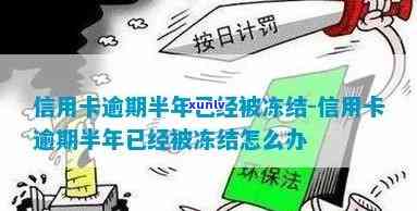 逾期半年信用卡被冻结