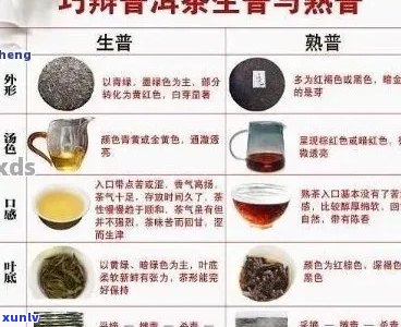 大叶普洱茶的种类及香型和类型