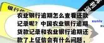 新 农行信用卡逾期明细查询攻略：详细步骤与注意事项