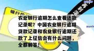 怎么查农行信用卡有没有逾期记录及欠款金额？