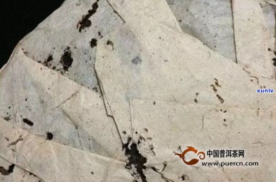 小青柑云南普洱茶的功效、作用与价格，以及正确的泡法 - 全面了解这款茶！