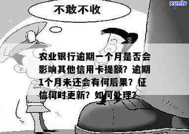 农业银行逾期一个月对其他信用卡提额产生影响吗？