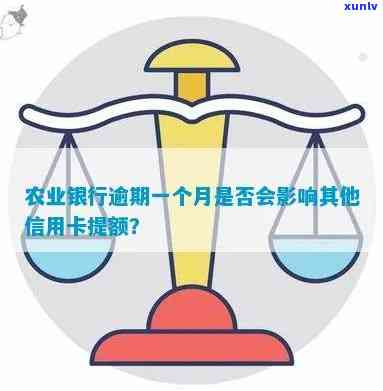 农业银行逾期一个月对其他信用卡提额产生影响吗？