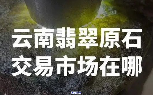 广东陈皮普洱茶：了解优质茶叶的选择、冲泡 *** 与口感体验